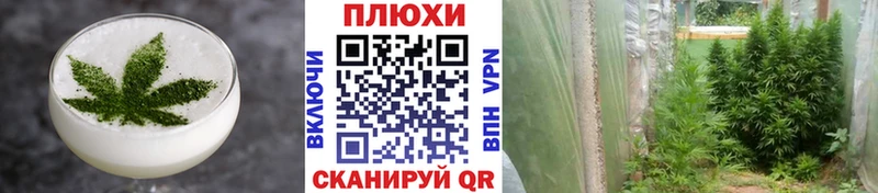Купить где  Коммунар  Canna-Cookies конопля 