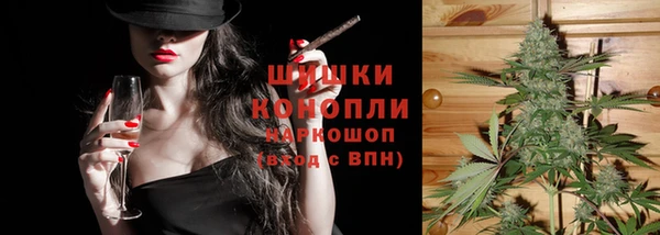 индика Покачи