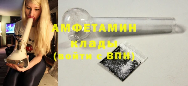 индика Покачи