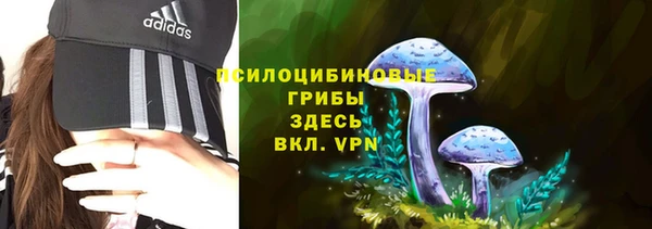 шишки Покров